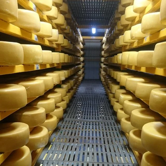 Sección de blog explicando como funcionan los conservantes en quesos